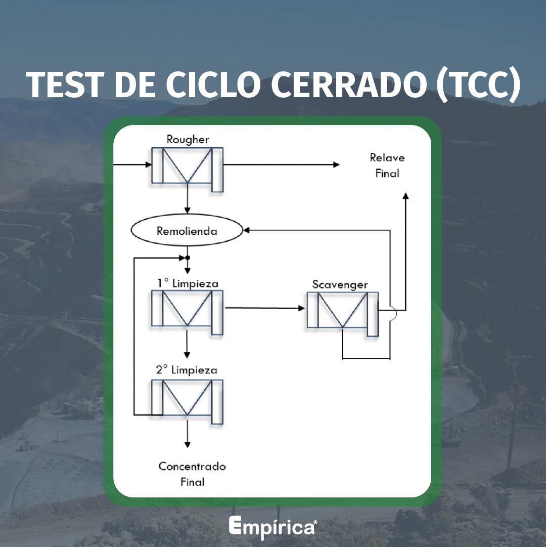 Read more about the article TEST DE CICLO CERRADO (TCC)